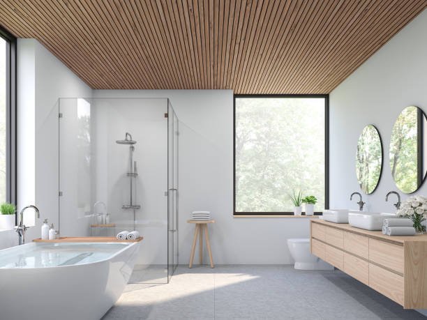 SMC Infra Shower Partitions